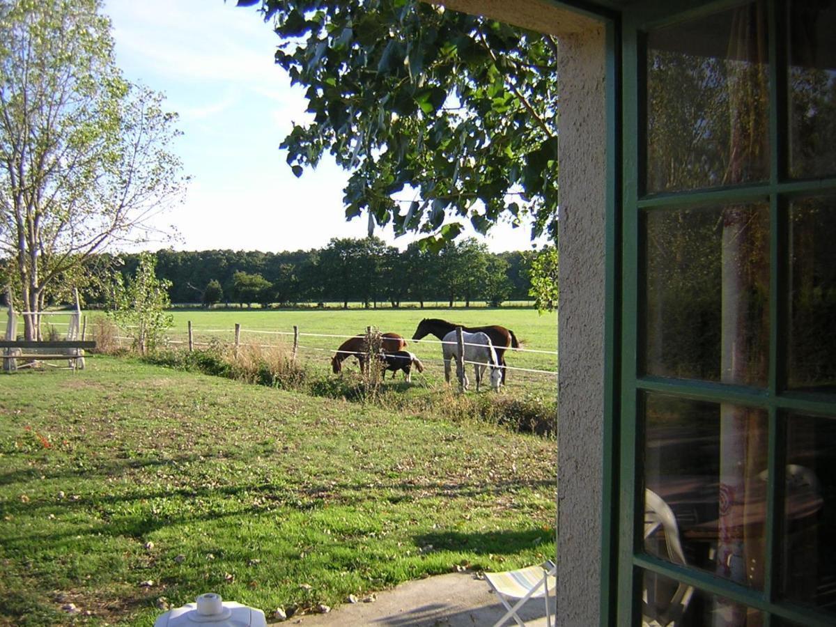 Chambre D'Hote De L'Elevage Du Lattay Les Hauts-d'Anjou Eksteriør billede